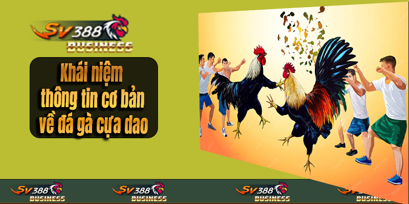 Thông tin cơ bản về đá gà cựa dao
