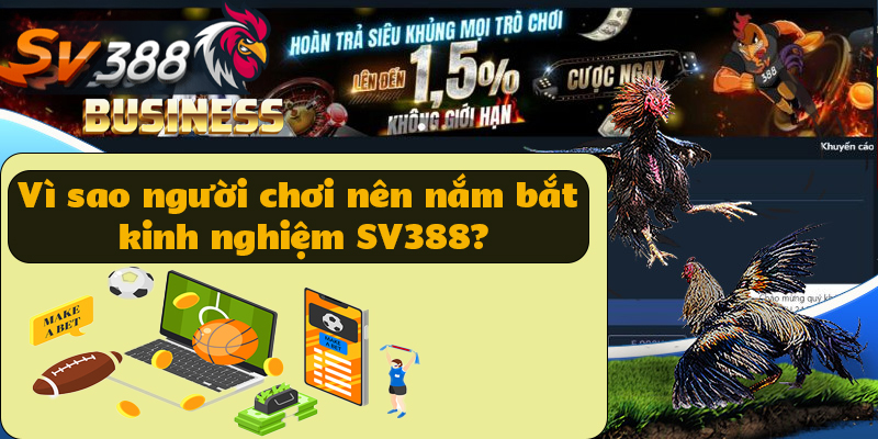 Nắm bắt kinh nghiệm SV388 sẽ mang lại nhiều điều bổ ích khi cá cược